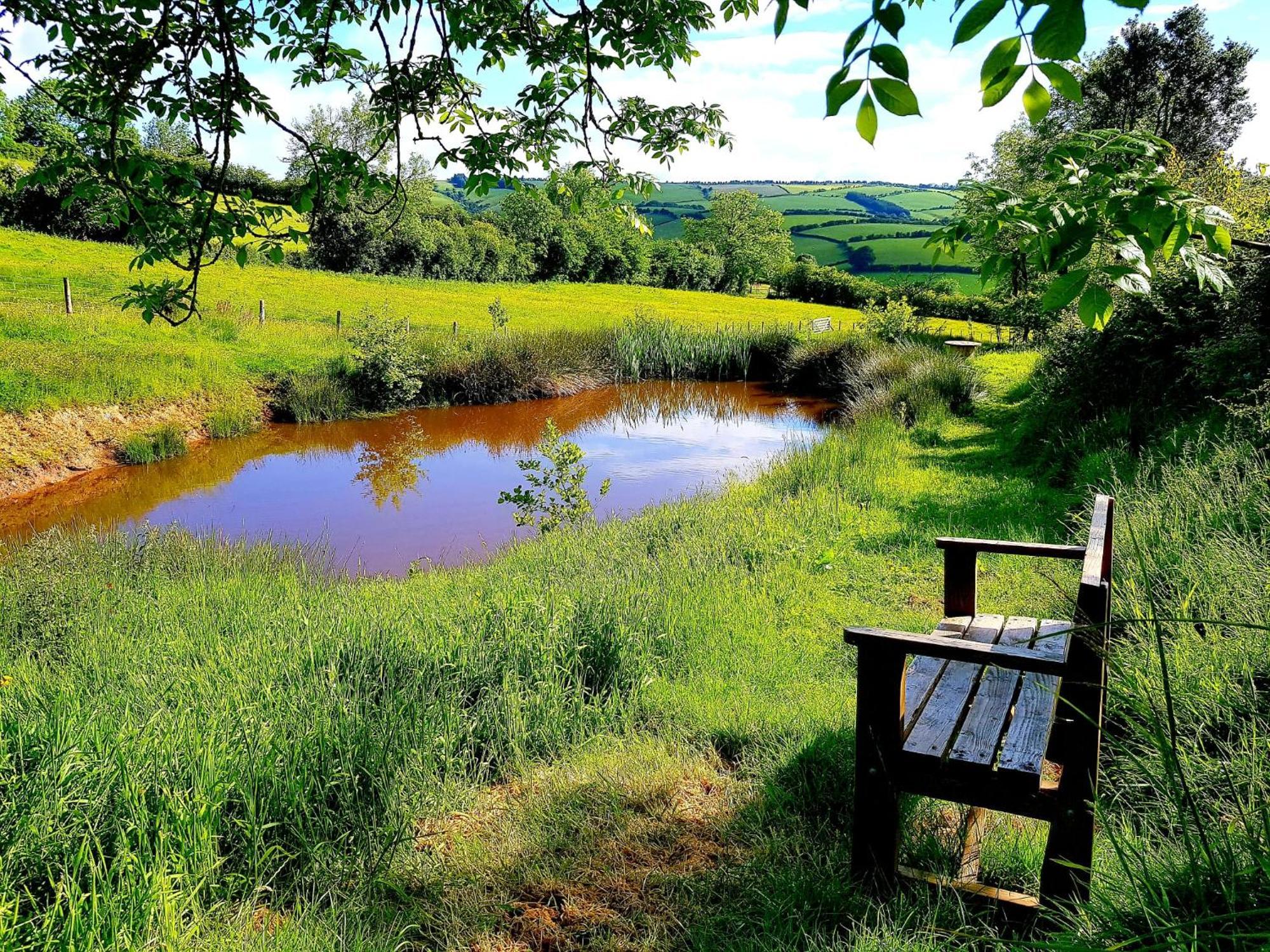 קרייבן ארמס Eco Accommodation Cornflower Holiday מראה חיצוני תמונה
